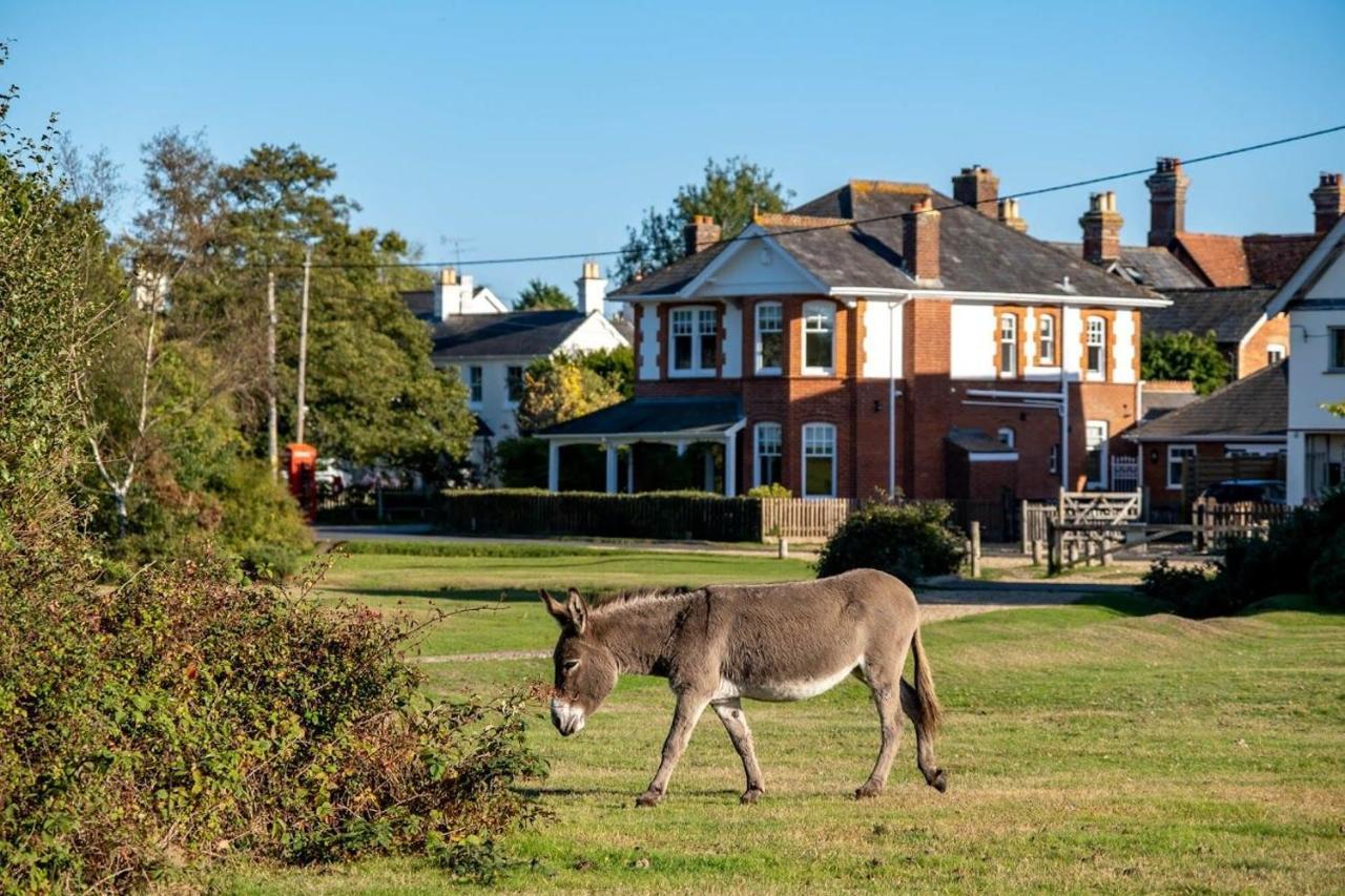 Surrey Lodge Brockenhurst Eksteriør billede